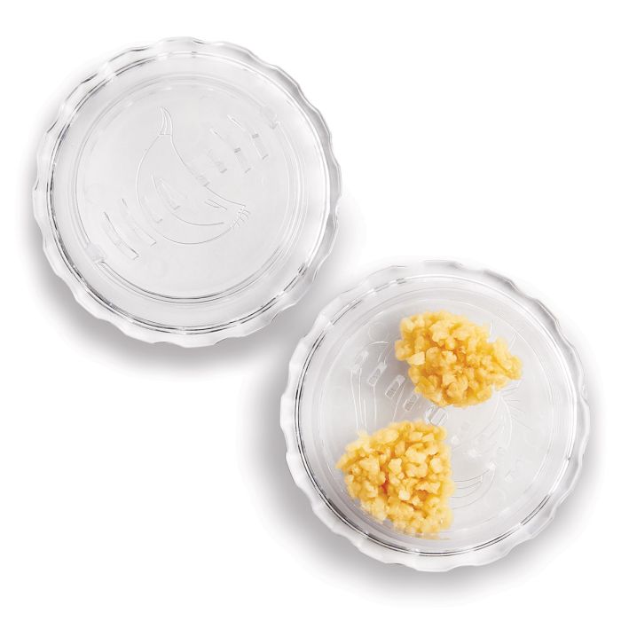 Fantes Cousin Antonella's Twisting Garlic Mincer