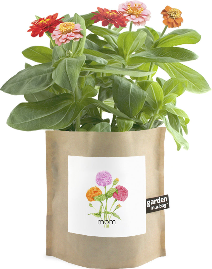 Potting Shed Creations Garden in a Bag Mom