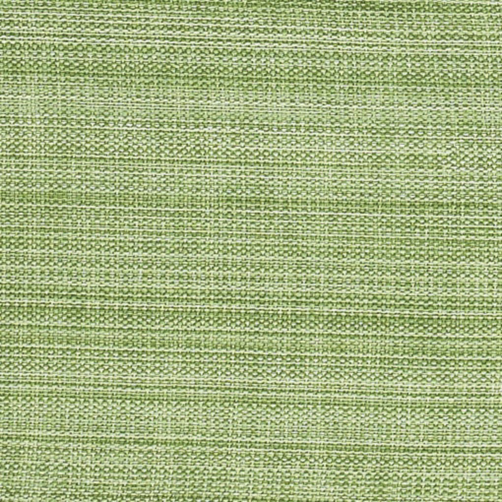 Park Designs Napkin Celery