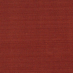 Park Designs Napkin Persimmon