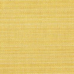 Park Designs Napkin Dijon