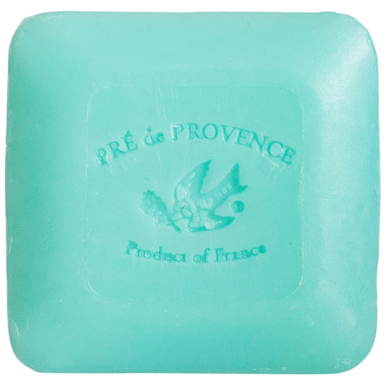 European Soaps 25G Jade Vine Bar Soap