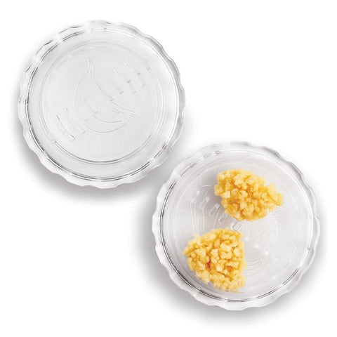 Fantes Cousin Antonella's Twisting Garlic Mincer