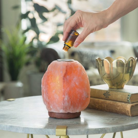 Candlewarmers Himalayan Salt Oil Warmer
