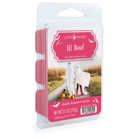 Candlewarmers Hi Boo! Wax