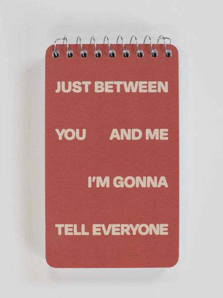Blue Q Just Between You And Me I'm Gonna Tell Everyone 3x5 Spiral Notebook