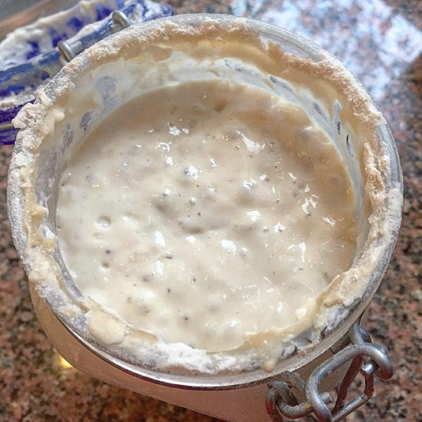 Breadtopia Sourdough Dry Starter