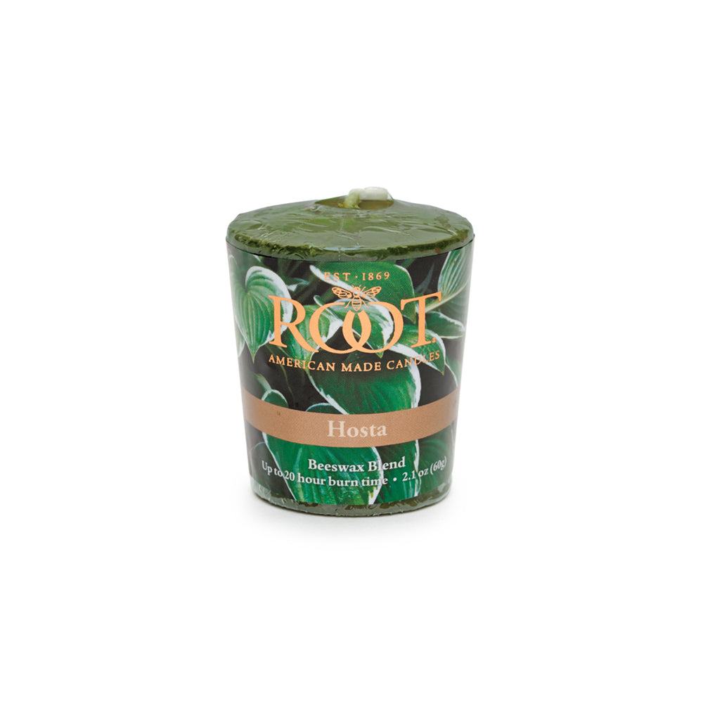 Root 20 hour Hosta Votive Candle