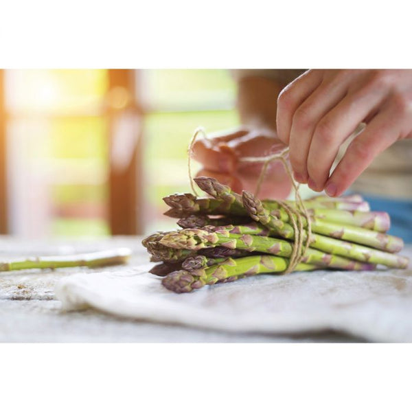 HIC Cooking Twine 1Lb Cone