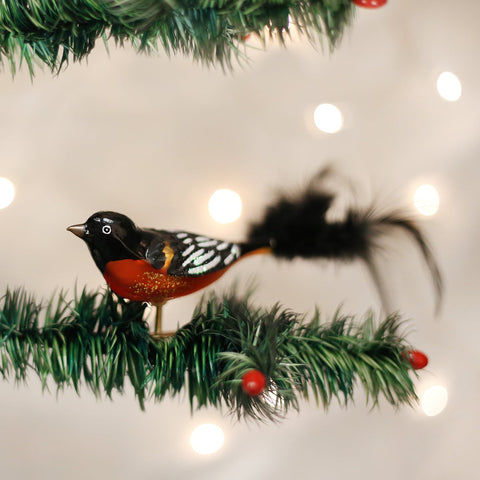 Old World Christmas Baltimore Oriole Ornament