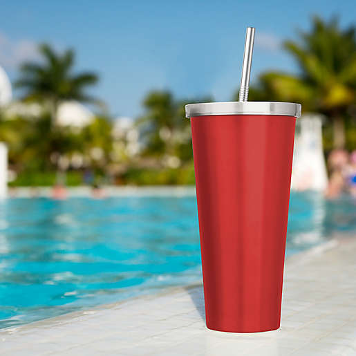 HIC Tumbler Straws Stainless Steel Set of 2