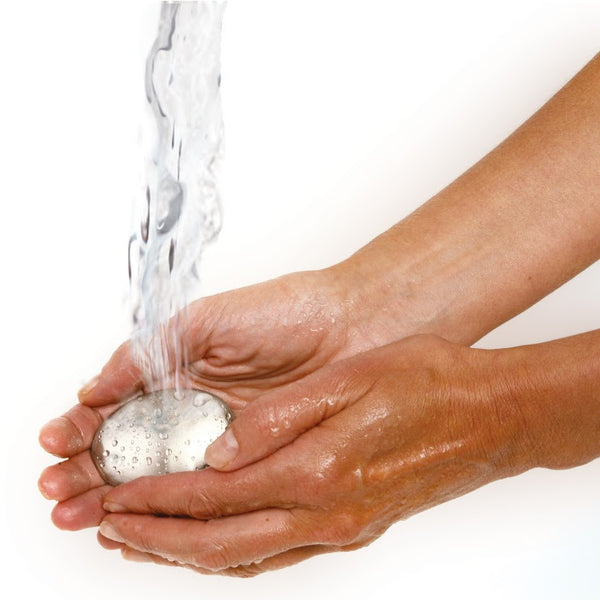 Norpro Onion Holder with Odor Remover