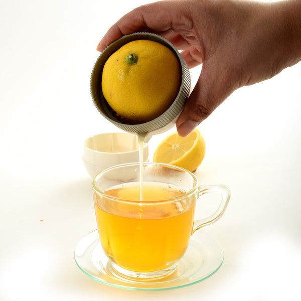Norpro Mini Citrus Juicer