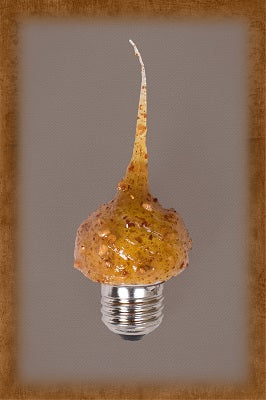 Vickie Jean's Creations Spicy Rosehip Standard Bulb