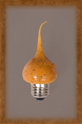 Vickie Jean's Creations Primitive Hazlenut Scented Standard Bulb 7.5 Watt