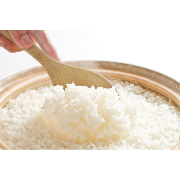 HIC 9" Bamboo Rice Paddle