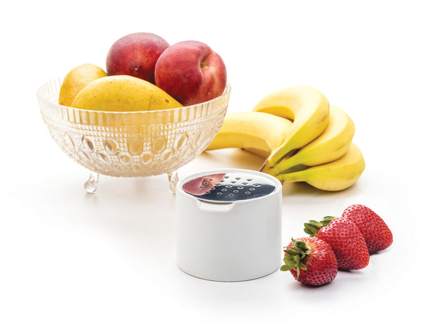 RSVP Fruit Fly Trap