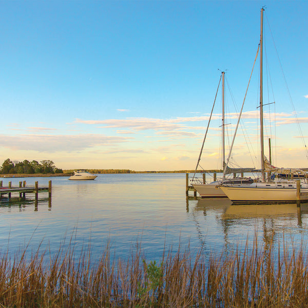 Root 20hr Seaside Harbor Votive