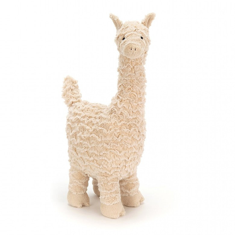 Jellycat Bashful Llama