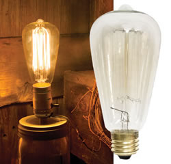 CWI Vintage Edison Bulb 40 Watt