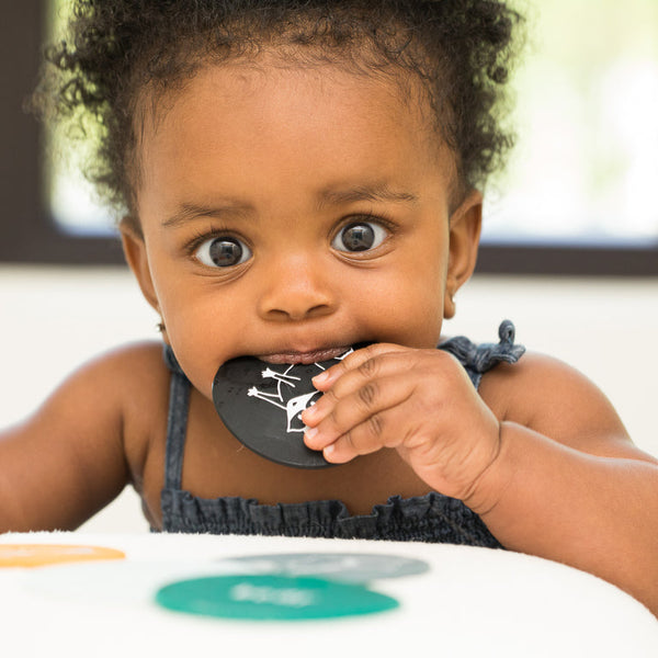 Bella Tunno Teething Flashcards Forest Friends