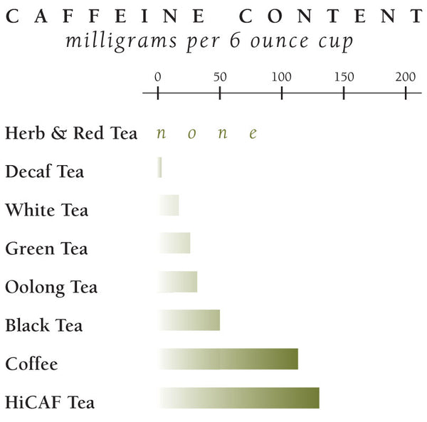 Republic of Tea Holiday Harvest Trio Tea