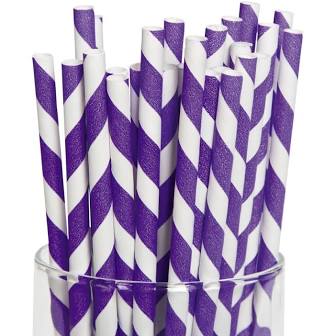 Partypartners Paper Straws Purple