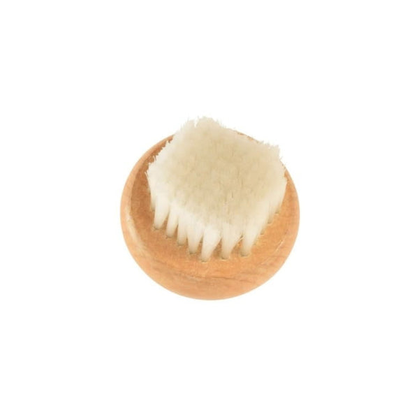R&M Mushroom Brush